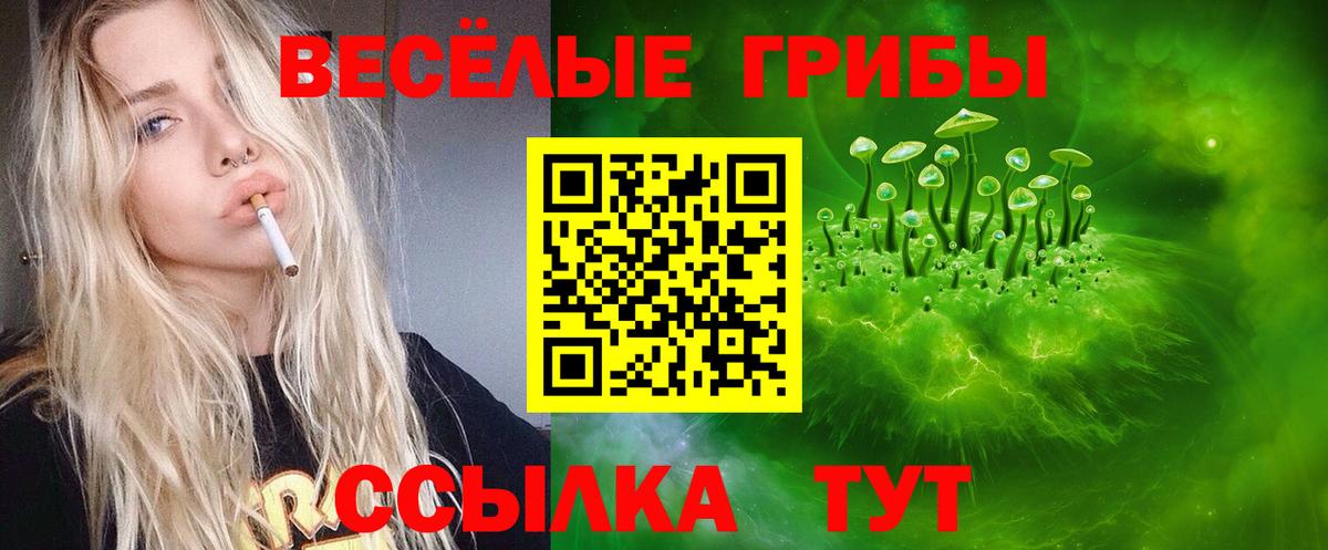 Галлюциногенные грибы Psilocybe  Галлюциногенные грибы Psilocybe  Минусинск  Вход с VPN 